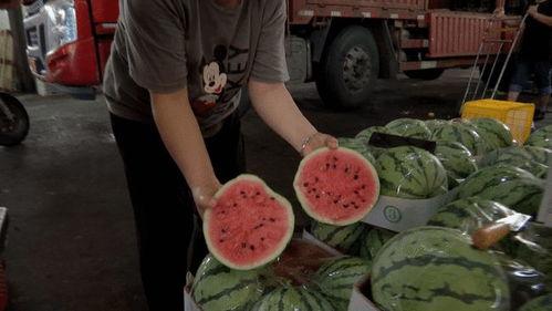 朝阳热心市民吃瓜事件视频,一场网络热议的幕后真相揭秘