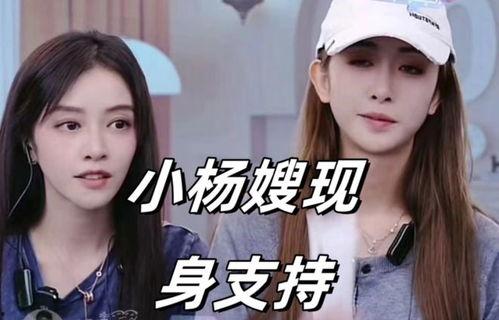 小杨嫂在线吃瓜视频,揭秘娱乐圈幕后故事