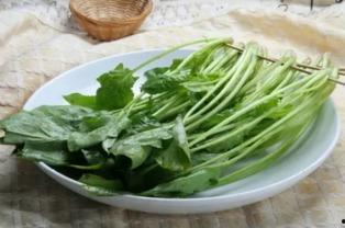 菠菜视频吃瓜,揭秘娱乐圈吃瓜背后的真相