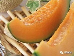 吃哈密瓜的大妈视频播放,甜蜜瞬间引网友热议