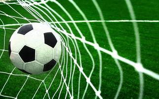 足球导播吃瓜是谁啊视频,一场导播与球迷的趣味互动