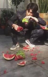 清苑吃瓜事件视频大全下载,视频大全回顾与解析