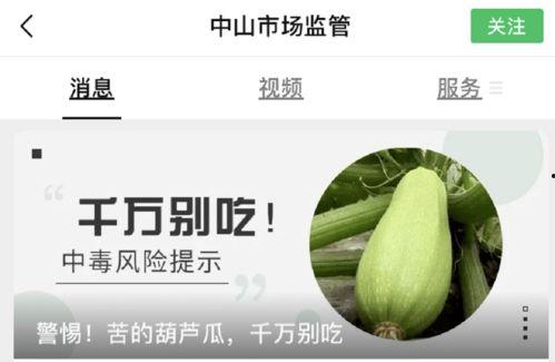 吃葫芦瓜视频素材图片下载,视觉与味蕾的双重享受