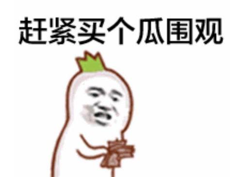 业主群视频吃瓜表情包,揭秘社区生活点滴