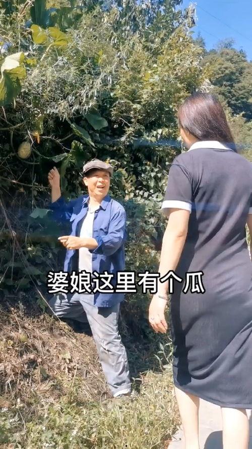 不搞笑吃瓜视频,揭秘娱乐圈背后的真相