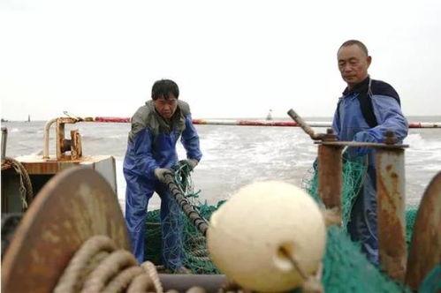 中国渔民演戏吃瓜视频,共享丰收喜悦