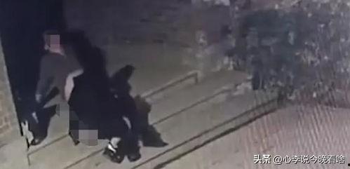 吃乌骨瓜视频完整版,视频完整版深度解析