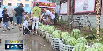 烟台沙河吃瓜事件视频,一场引发热议的网络围观