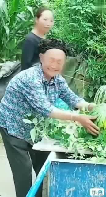 吃瓜搞笑老奶奶视频,网友直呼“太欢乐”