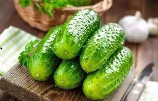 新瓜怎么吃才好吃视频大全,视频大全教你吃出夏日清新