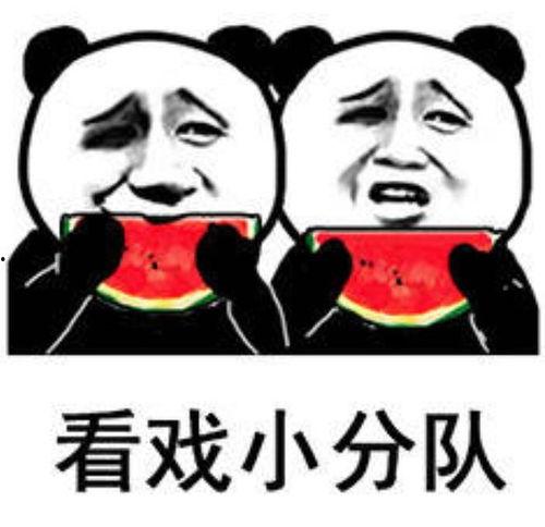 沙雕修仙动画吃瓜视频,吃瓜群众眼中的奇幻世界