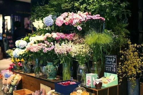 花店吃瓜视频,揭秘花店日常趣事