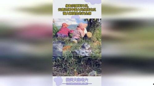 大妈在边境吃瓜图片视频,揭秘边境风情与日常生活