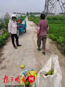 大妈在边境吃瓜图片视频,揭秘边境风情与日常生活