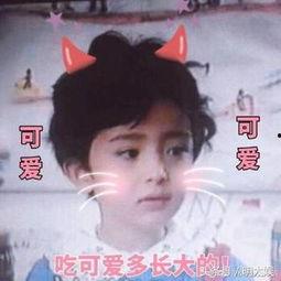 吃瓜最新事件讲解视频,最新事件视频深度解析