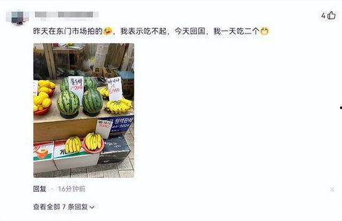 韩国人免费吃瓜视频网站,轻松畅享娱乐盛宴