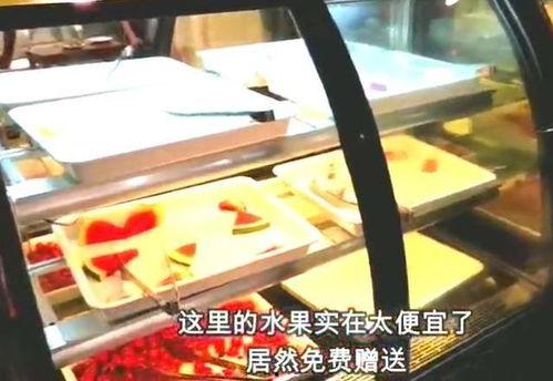 韩国人免费吃瓜视频网站,轻松畅享娱乐盛宴