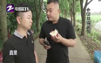 小霸王吃瓜记视频,一场爆笑的瓜田奇遇