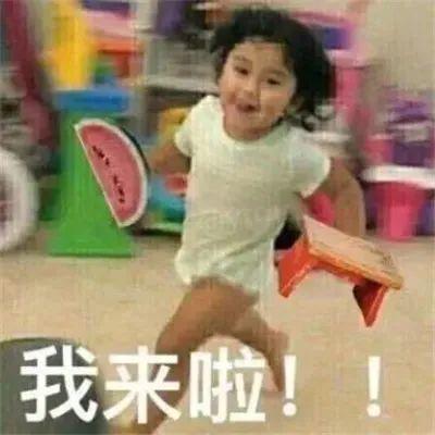 小霸王吃瓜记视频,一场爆笑的瓜田奇遇