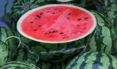 小霸王吃瓜记视频,一场爆笑的瓜田奇遇