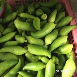 农家乐视频吃瓜图片,瓜果飘香，尽享田园风光