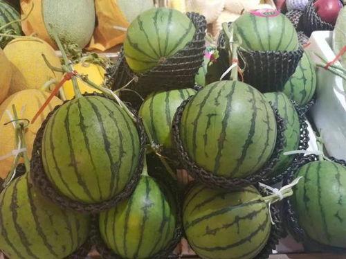 吃瓜的季节教学视频,跟随“吃瓜的季节”教学视频，解锁夏日美食新体验