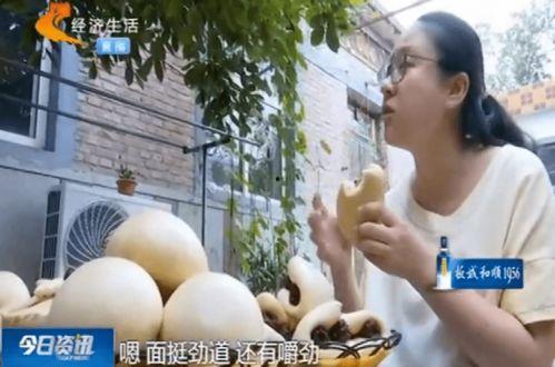 河北保定吃瓜最新事件视频,一场网络热议背后的真相揭秘