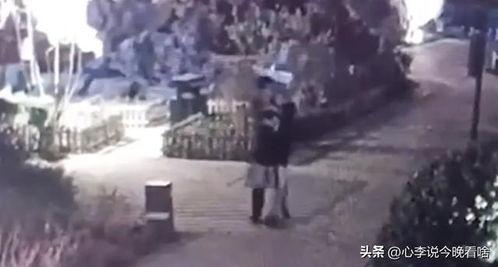 师姐吃瓜视频完整版,揭秘娱乐圈幕后真相，完整版大揭秘