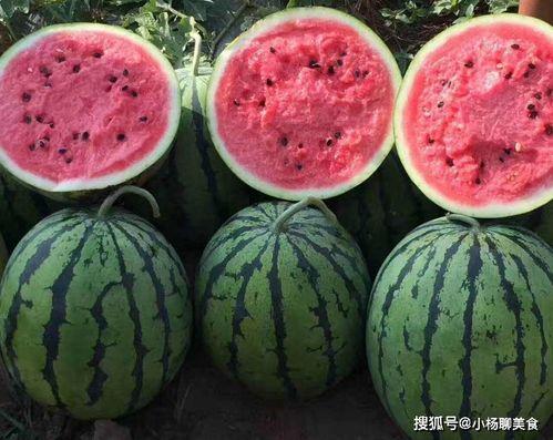 怎么挑好麻瓜吃呢图片视频,如何一眼识出优质麻瓜