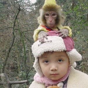 瓜友吃瓜的视频,视频带你领略娱乐圈幕后风云