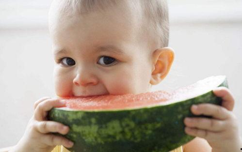 小孩吃瓜西瓜视频,小宝贝欢乐吃瓜西瓜视频集锦