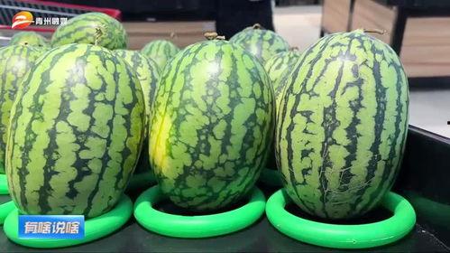 潍坊西城吃瓜事件视频,一场引发热议的网络视频风波