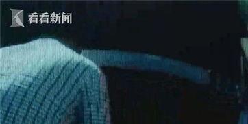 老板带司机吃瓜视频,趣味视频引发网友热议