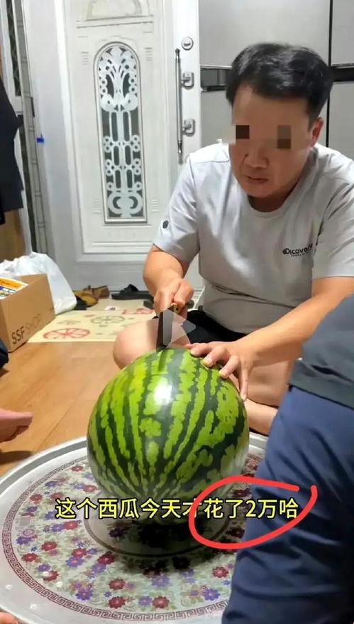 一吃瓜视频,娱乐圈幕后真相大曝光