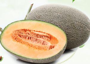 吃哈密瓜的傻瓜视频,笑料百出！