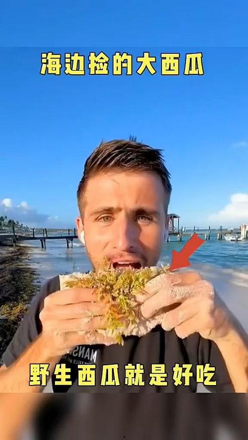 粤语吃瓜配音搞笑视频大全,笑料横生的搞笑视频大盘点