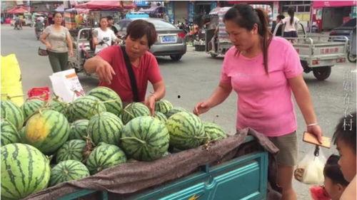 五毛一斤吃瓜视频,揭秘网络红人背后的真相