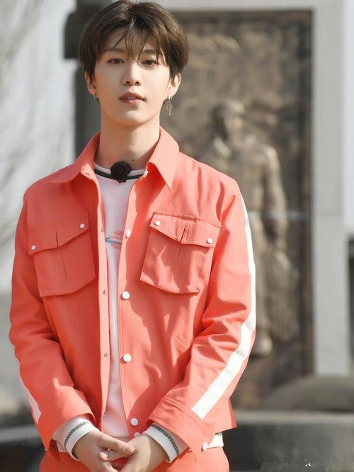 吃瓜阿姨偶遇范丞丞视频,甜蜜互动引网友热议