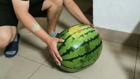 吃瓜夏日怎么拍视频赚钱,轻松拍视频赚钱攻略