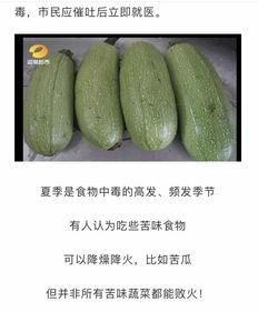 瓜干怎么吃不硬不苦呢视频,告别苦涩，尽享美味小贴士
