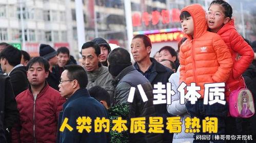 八卦吃瓜教育孩子视频,寓教于乐的育儿智慧