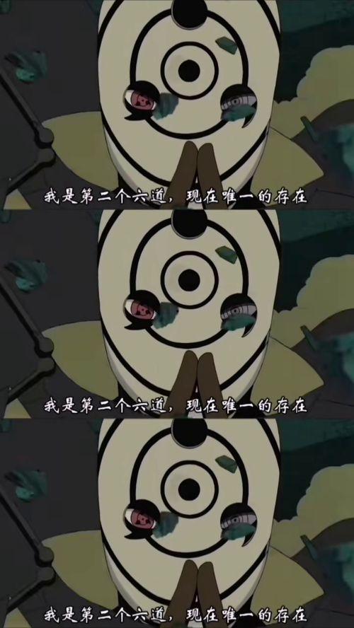 zeus视频吃瓜,揭秘娱乐圈的“吃瓜”盛宴