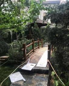 亭子下的吃瓜视频下载观看,揭秘热门吃瓜视频背后的故事