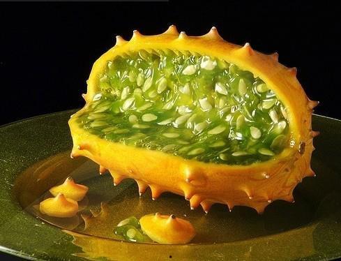 男孩吃角瓜的视频大全图片,趣味视频大盘点