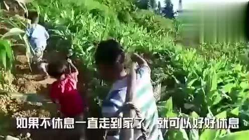 嘉兴离婚吃瓜视频,一场吃瓜群众的视觉盛宴