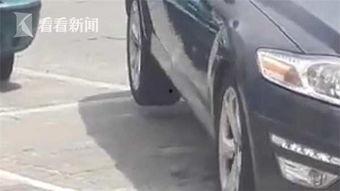 女开车的吃瓜视频大全