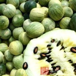 瓜子吃瓜视频,瓜子吃瓜视频，带你领略趣味无限