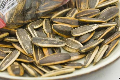 瓜子吃瓜视频,瓜子吃瓜视频，带你领略趣味无限