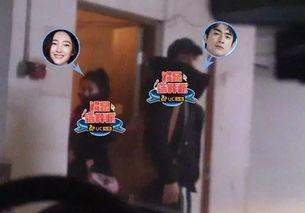 王丽坤吃瓜现场视频播放,真实画面引网友热议