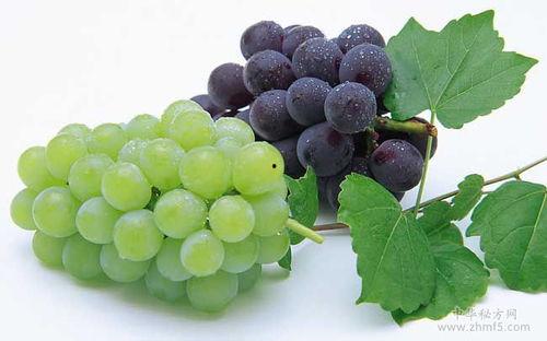 吃瓜吃葡萄会中毒吗视频,吃瓜吃葡萄竟可能中毒，警惕这些常见食物风险